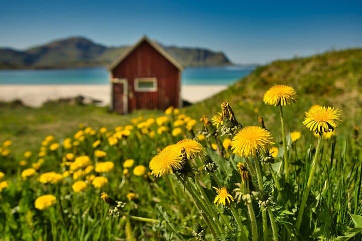 Lofoten Roadtrip Full Day Tour from Svolvaer 2
