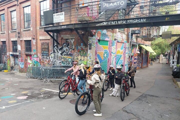 El-bike Rentals By The Oslo Tour 4