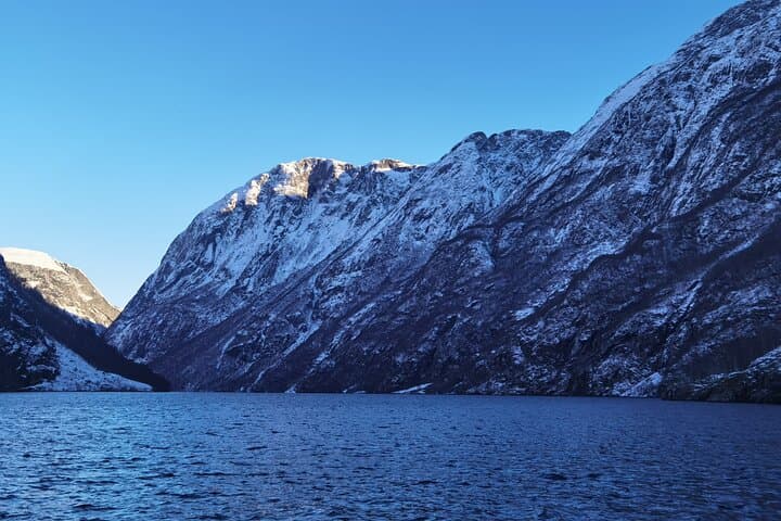 1Day Tour from Bergen to Flåm, Nærøyfjord Cruise & Stegastein 3