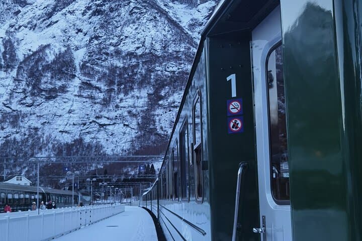 1Day Tour from Bergen to Flåm, Nærøyfjord Cruise & Stegastein 5