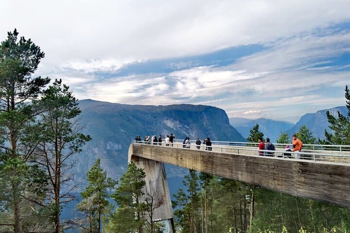 1Day Tour from Bergen to Flåm, Nærøyfjord Cruise & Stegastein