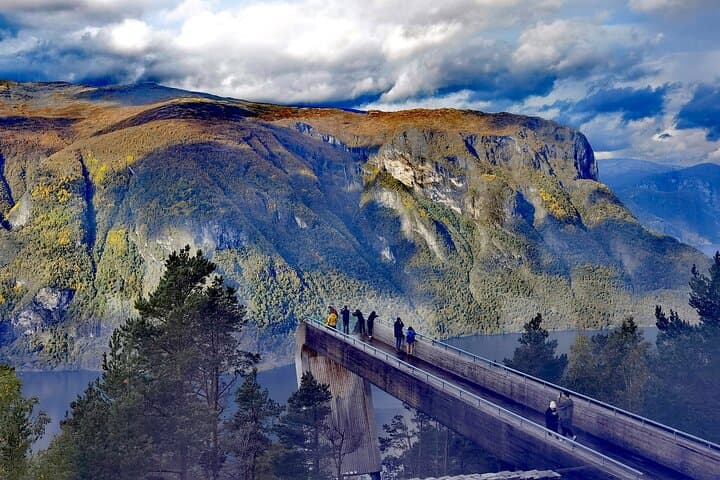 1Day Tour from Bergen to Flåm, Nærøyfjord Cruise & Stegastein 2