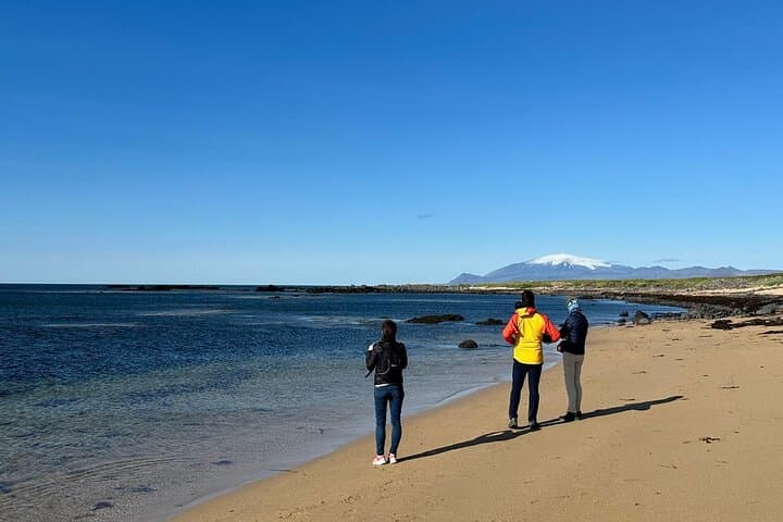 Snaefellsnes Peninsula Private Tour 3