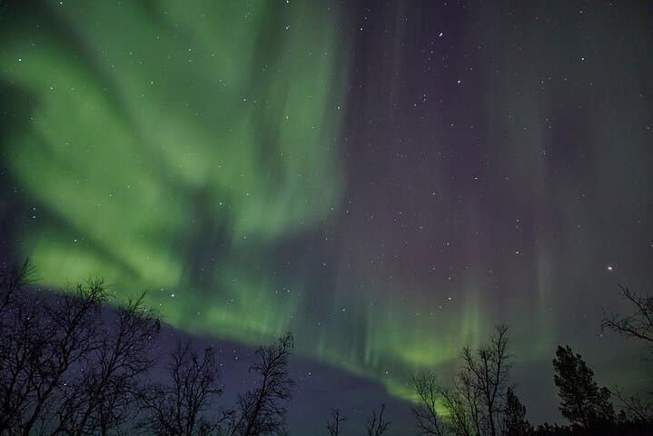 Aurora Tour with Dinner in Abisko 4