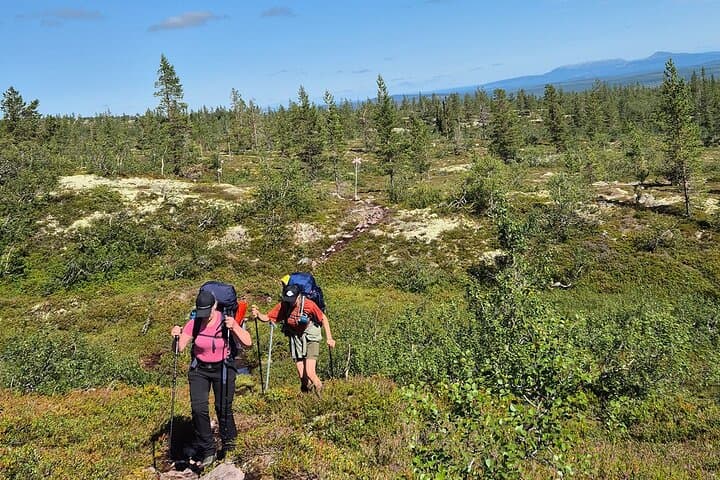 Mountain walk with husky companion 2