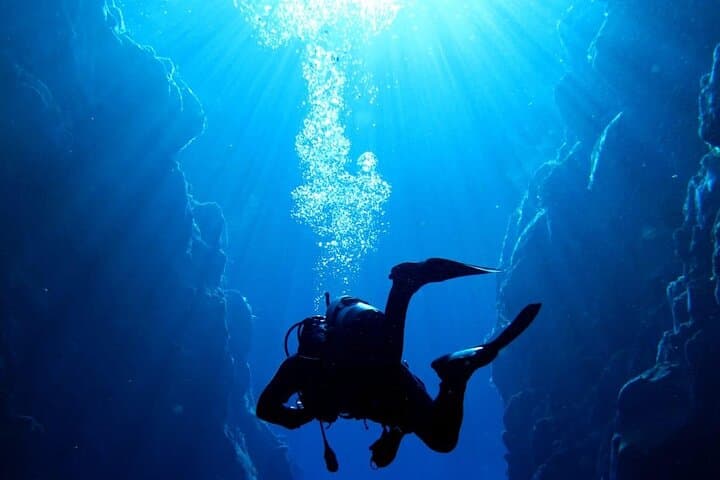 Where and How You Want Private Tour with Wilmar English or Spanish 3
