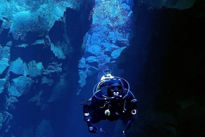 Where and How You Want Private Tour with Wilmar English or Spanish 4