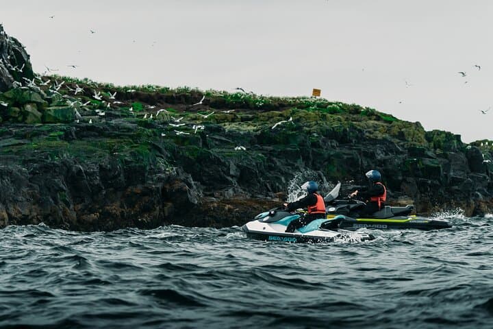 Puffin Jet ski tour in Reykjavík 5