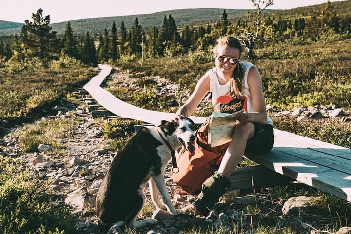 Mountain walk with husky companion 3