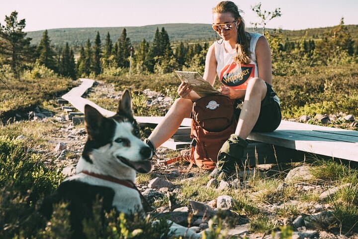 Mountain walk with husky companion 4