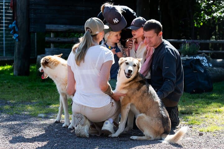 Husky cuddle at Fjälläventyr Dog Park - admission ticket