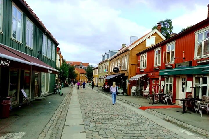 Trondheim: Discover the city of kings with a local guide 5