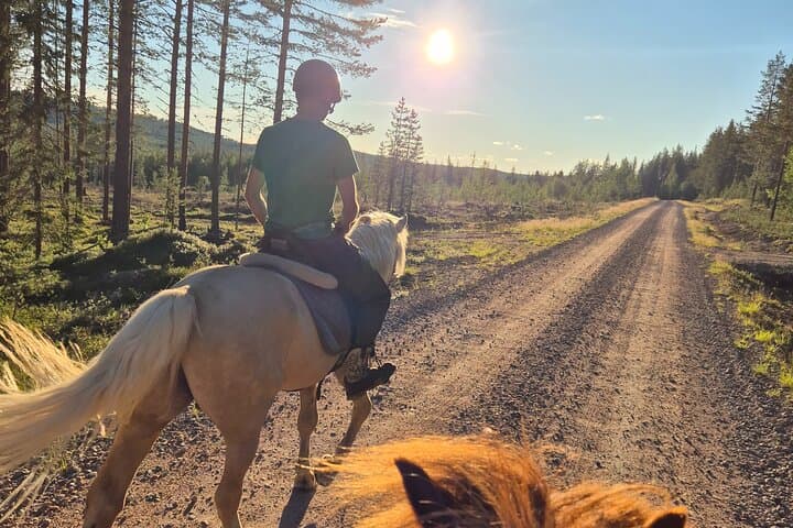 Horse Ride to the Hill Activity