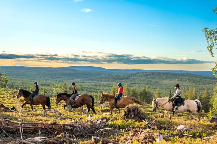 Horse Ride to the Hill Activity 2