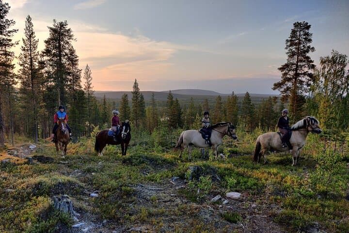 Horse Ride to the Hill Activity 3