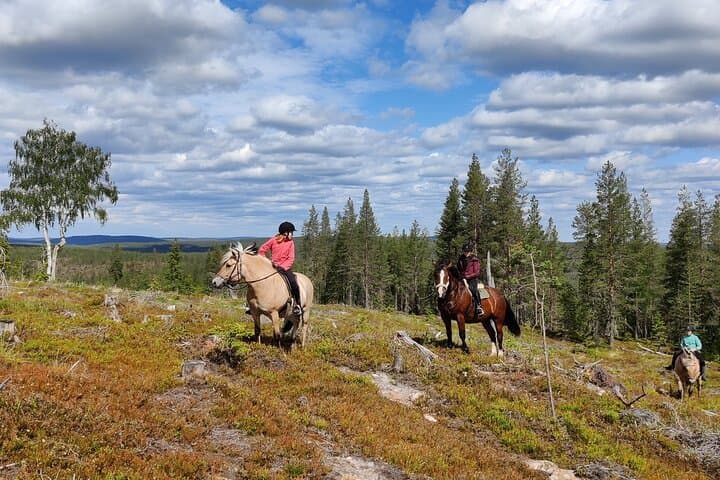 Horse Ride to the Hill Activity 4