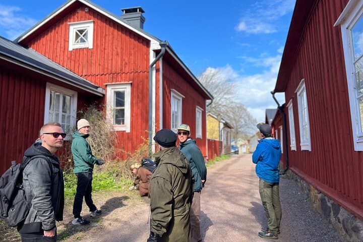 Stones & Slices: Raasepori Castle Ruins, Ekenäs Old Town & Pizza 3