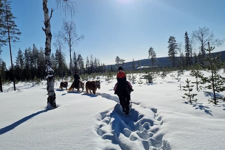 Horse ride to the snowy hill 5