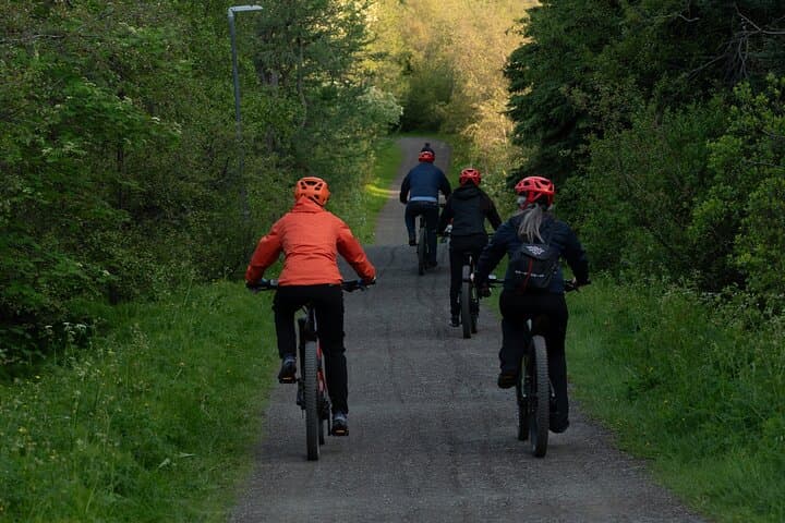 Akureyri Guided E-Bike Tour 4