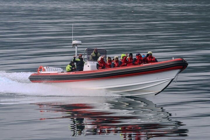Express Whale Watching in Dalvik 4