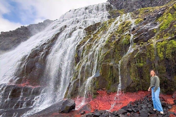 Isafjordur and Westfjords Private Tour 5