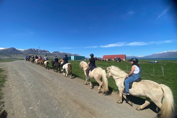 Horse Riding Tour and Explore Scenery in Gásir Akureyri 2