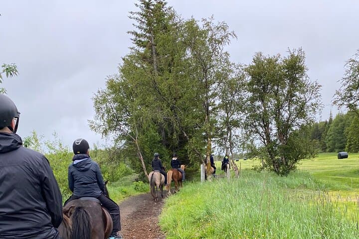 Horse Riding Tour and Explore Scenery in Gásir Akureyri 4