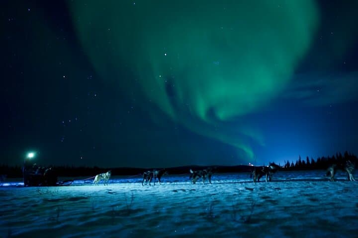 Aurora Borealis Dogsled Tour