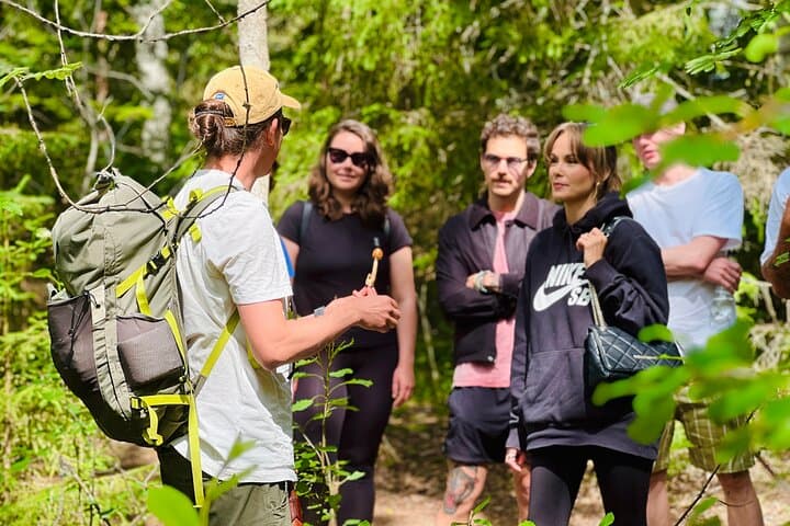 Enchanting Afternoon in Nuuksio National Park with Campfire snack