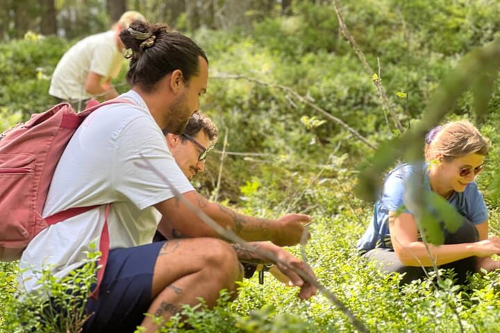 Enchanting Afternoon in Nuuksio National Park with Campfire snack 3
