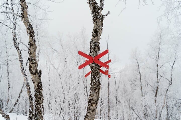 Snowmobile Tour in Kiruna 2