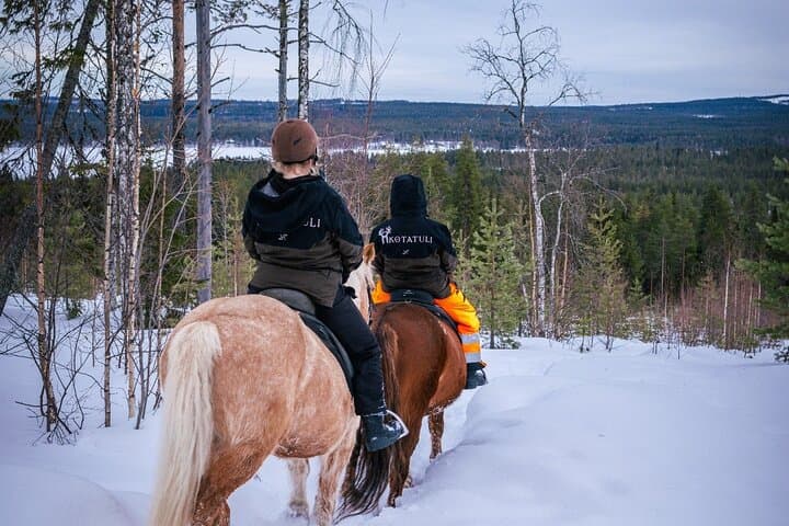 Horseback Ride in Finnish Forest from Rovaniemi 2