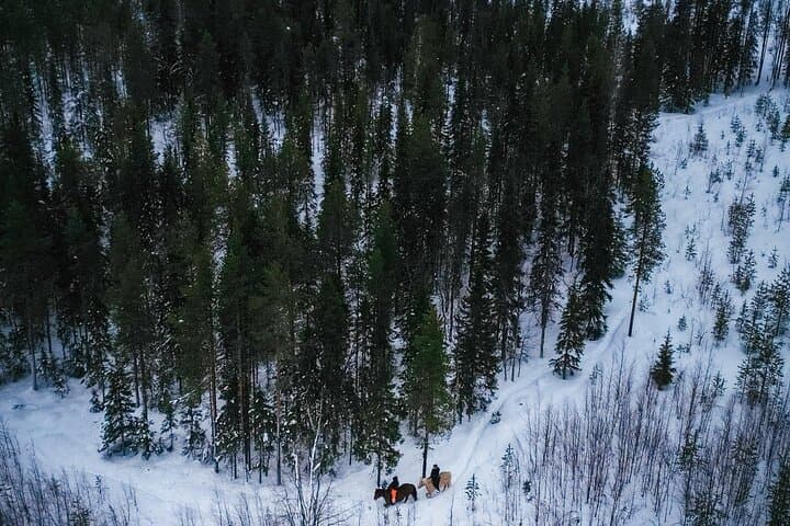 Horseback Ride in Finnish Forest from Rovaniemi 3