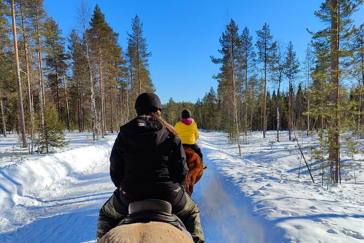 Horseback Ride in Finnish Forest from Rovaniemi 5