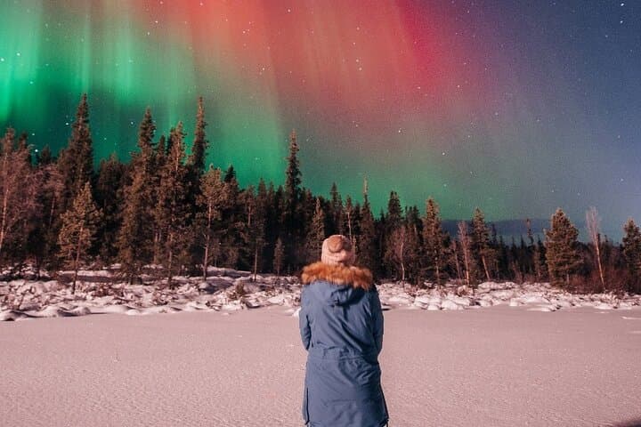 Kiruna: Northern Lights Tour with Sami BBQ Dinner 4