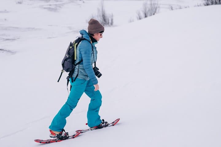 Kiruna Guided Daytime Snowshoe Hike 4