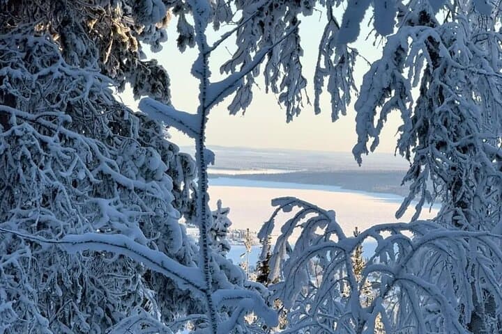Kiruna Guided Daytime Snowshoe Hike 3
