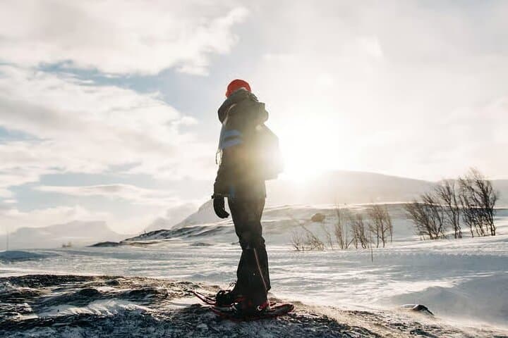 Kiruna Guided Daytime Snowshoe Hike