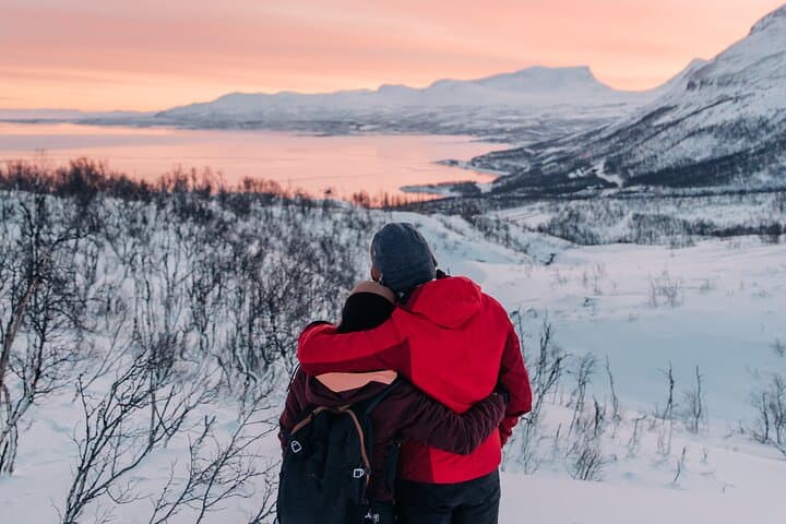 Abisko and Björkliden Day Trip From Kiruna with Lunch 4