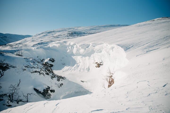 Abisko and Björkliden Day Trip From Kiruna with Lunch 5