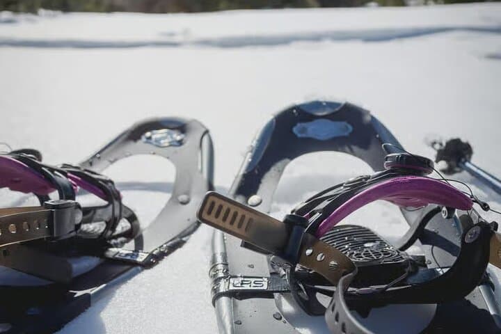 Abisko Daytime Photo Hike Snowshoe Adventure Tour 4