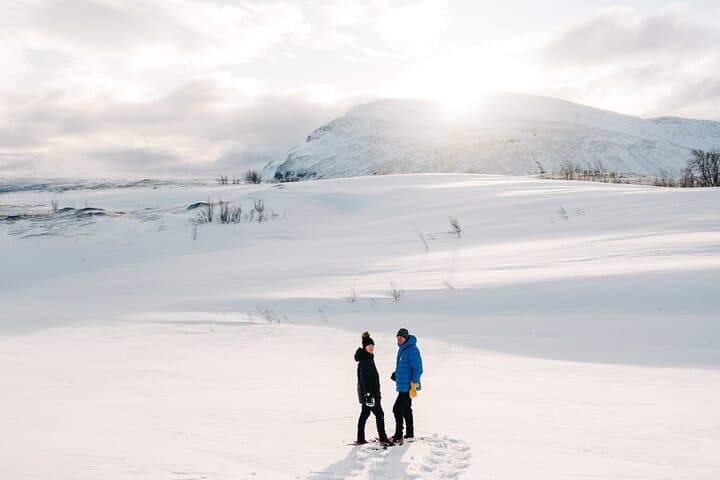 Abisko Daytime Photo Hike Snowshoe Adventure Tour 2