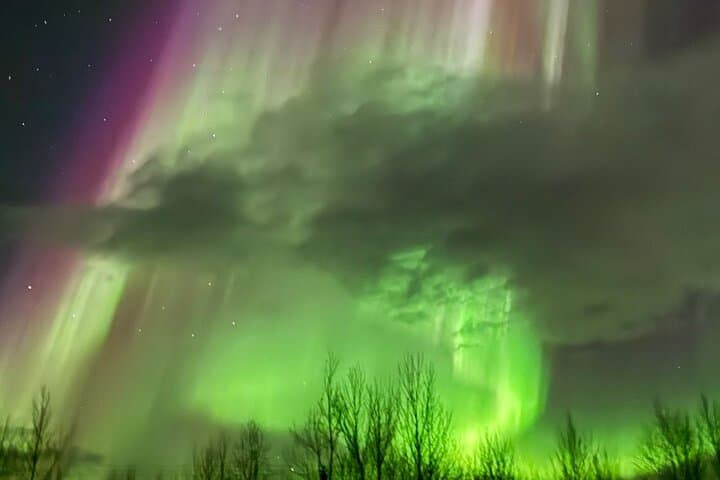 Northern Light Minibus Hunt to Abisko National Park 5