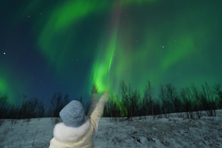 Northern Light Minibus Hunt to Abisko National Park 3