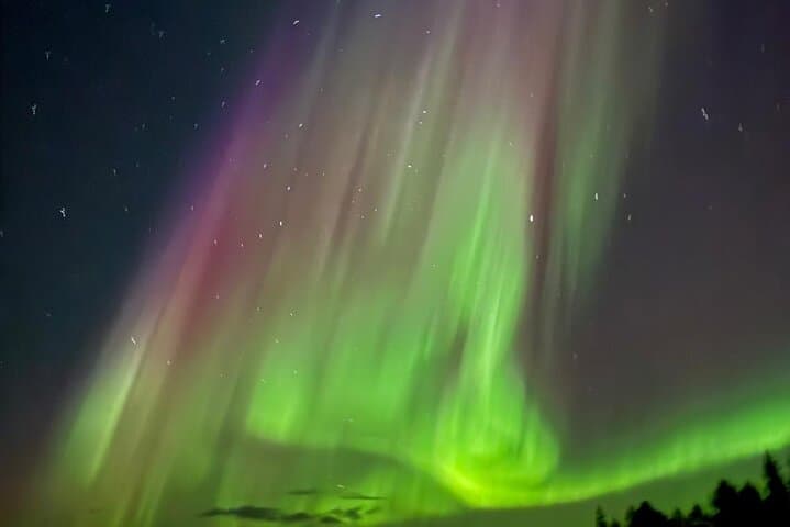 Kiruna: Aurora Chase with Street Food Dinner & Nature Guides 3
