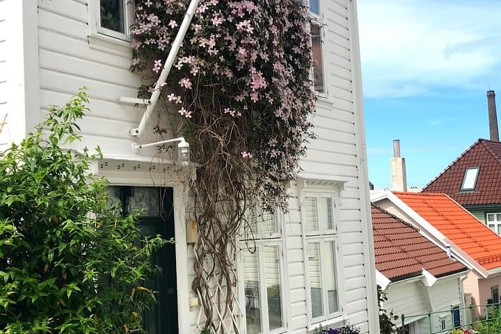 The best of Bergen with Merete -a truly local experience 5