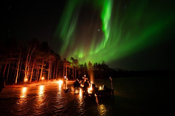 Northern Lights Hunting Expedition in Ranua, Lapland 4