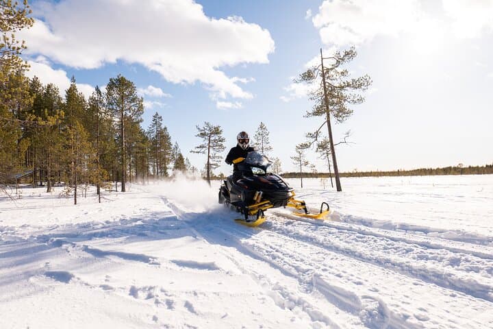 Ranua Snowmobile Safari Adventure on a Winter Lake 2 Hours 3
