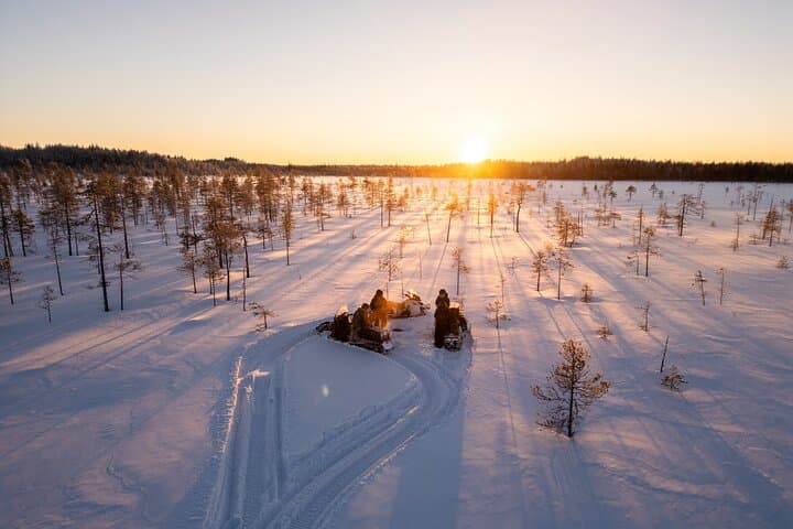 Ranua Snowmobile Safari Adventure on Winter Lake 1 hour 5