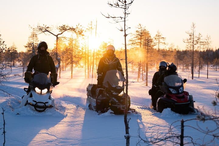 Ranua Snowmobile Safari Adventure on a Winter Lake 2 Hours 4